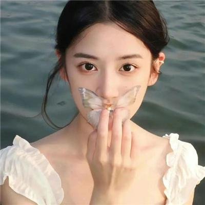 传世宝藏