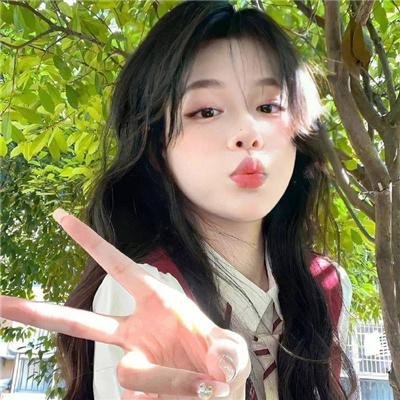 鸟儿们的奇幻冒险