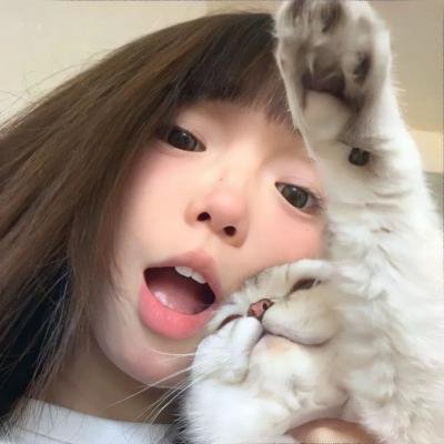 熊猫手札